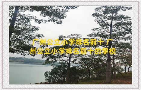广州公立小学排名前十 广州公立小学排名前十的学校
